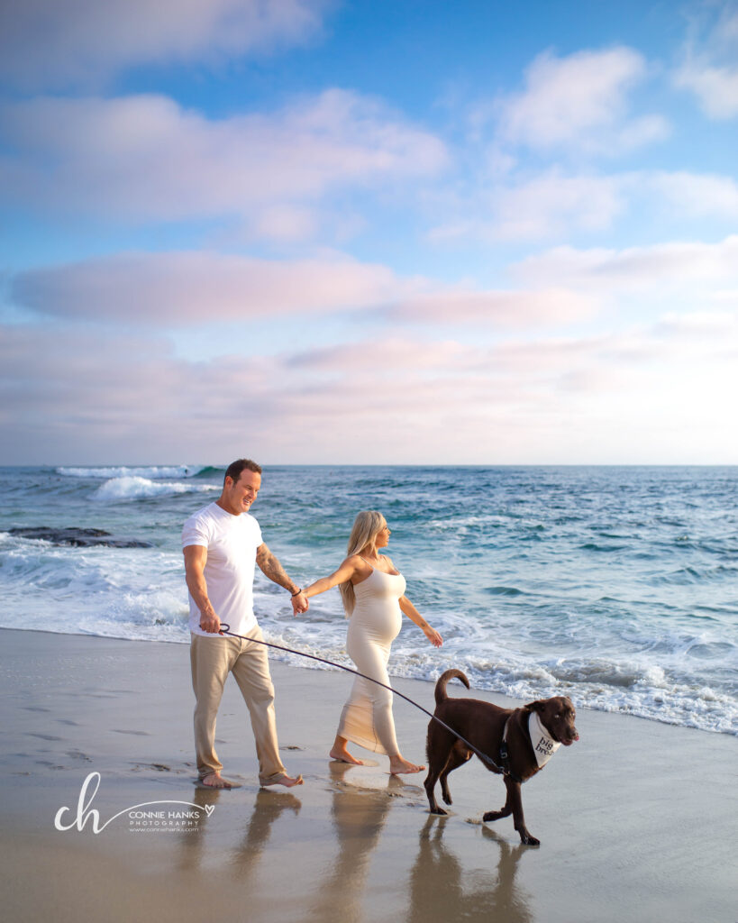 Maternity photos at Windansea Beach, La Jolla. Couple with dog walking along beach with painterly pastel skies.