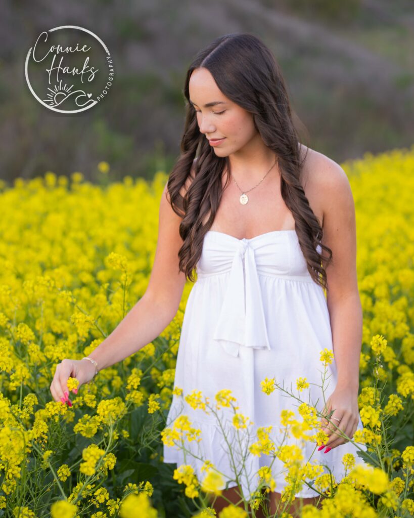 Senior photos wildflower field in Chula Vista, San Diego, California. Gorgeous girl in mustard seed wildflowers.